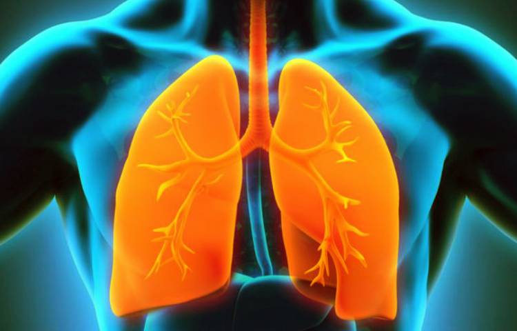 Diferencias entre pulmón derecho e izquierdo