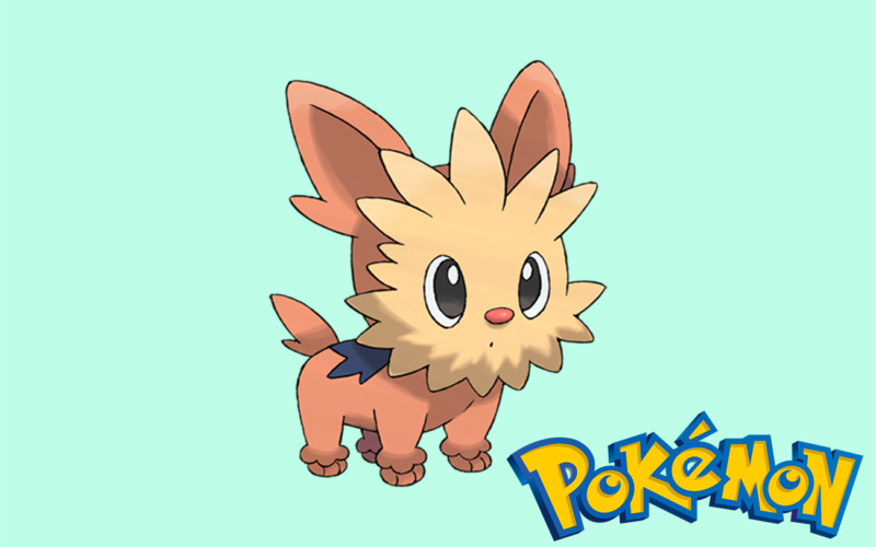 En qué Pokémon evoluciona Lillipup