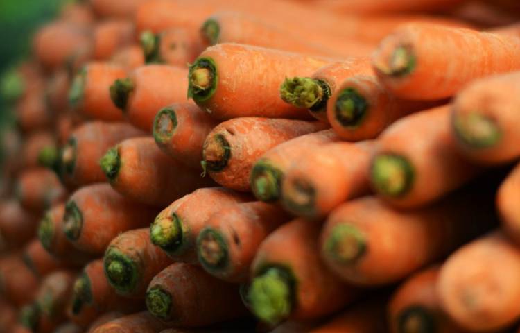 Comer zanahoria cambia el color de la piel