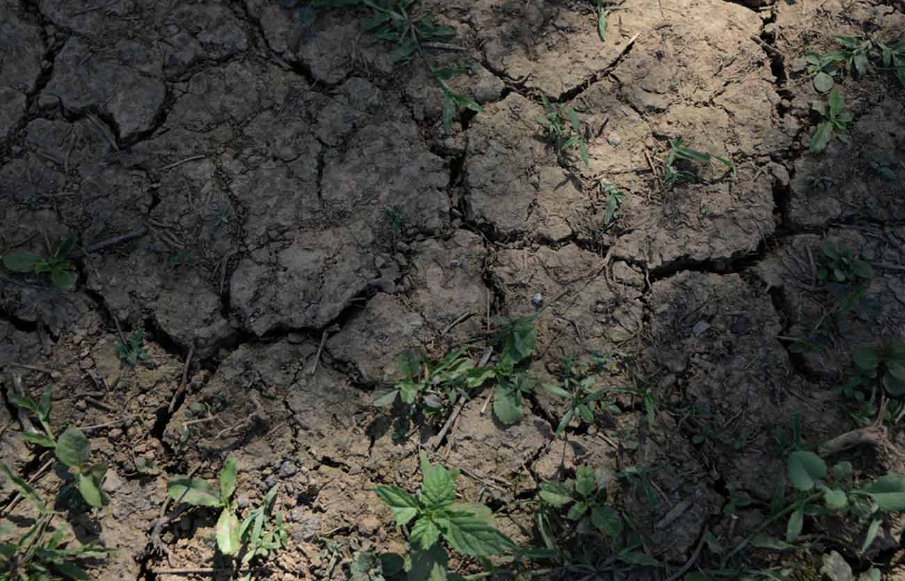 Cómo afecta la contaminación del suelo