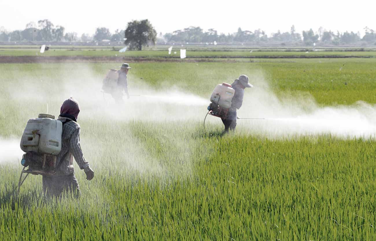 Los pesticidas y la contaminación del suelo