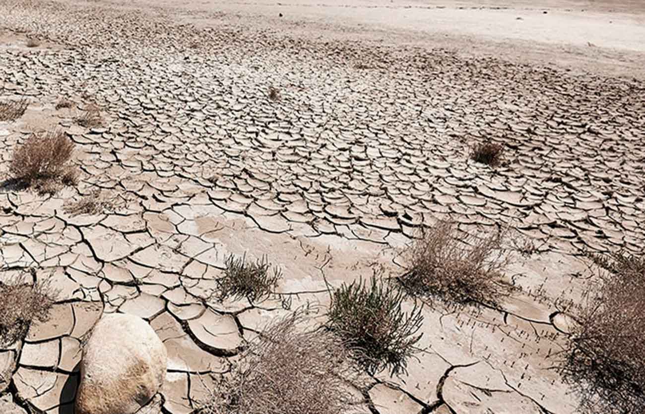 Qué es la arenización y la desertificación