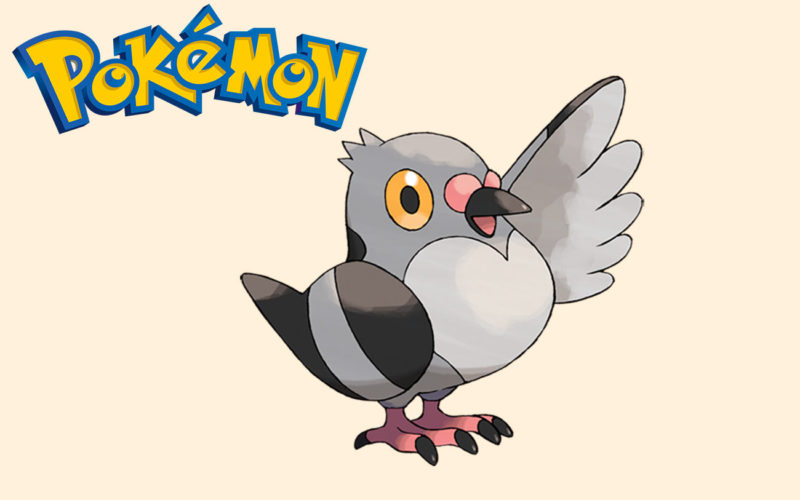 En qué Pokémon evoluciona Pidove