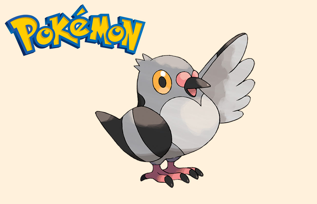 En qué Pokémon evoluciona Pidove