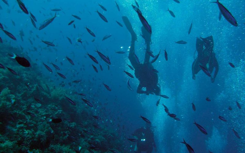 Qué estudia un oceanógrafo