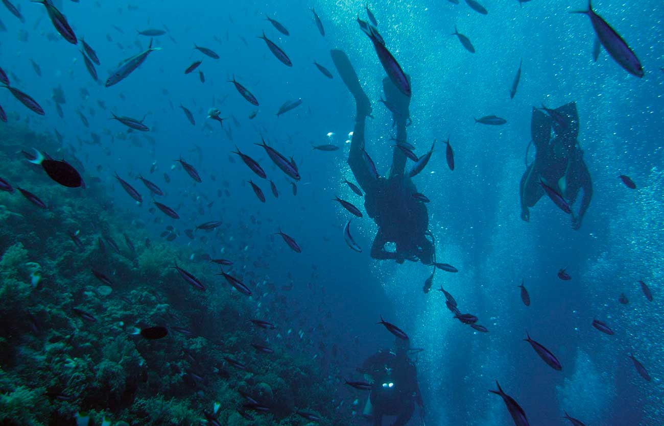 Qué estudia un oceanógrafo