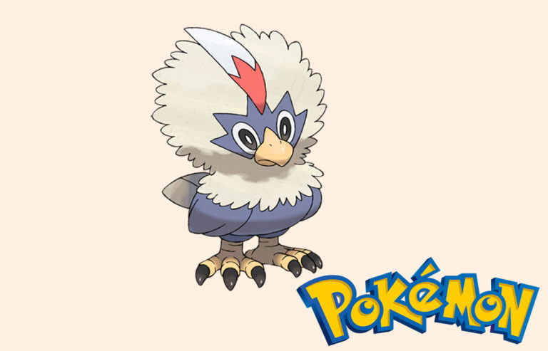 Cuál Es La Evolución De Rufflet Sooluciona