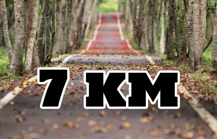 Cuántas millas son 7 kilómetros