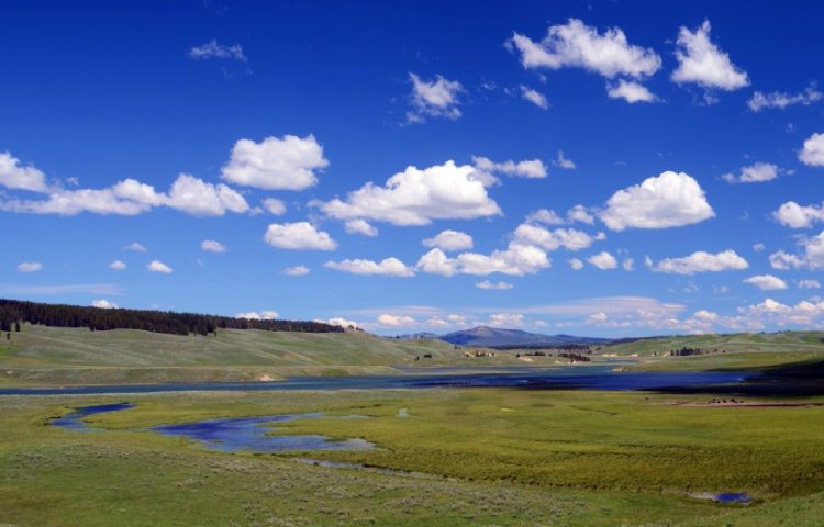 pradera de yellowstone estados unidos