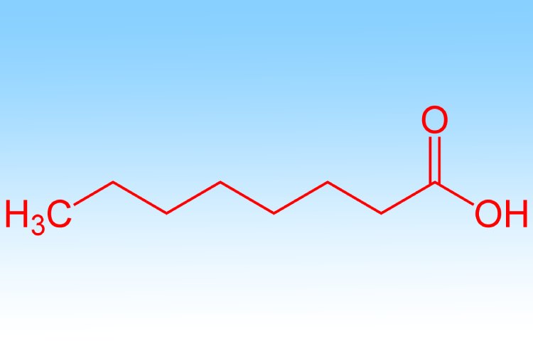 Aplicaciones y usos del ácido octanoico