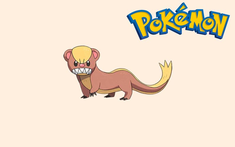 En qué Pokémon evoluciona Yungoos