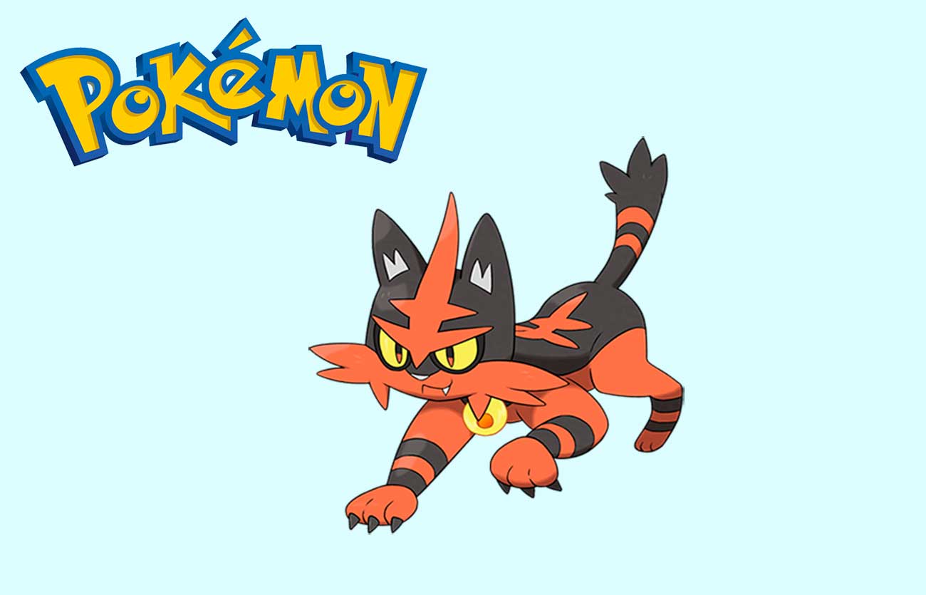 Pokémon Torracat