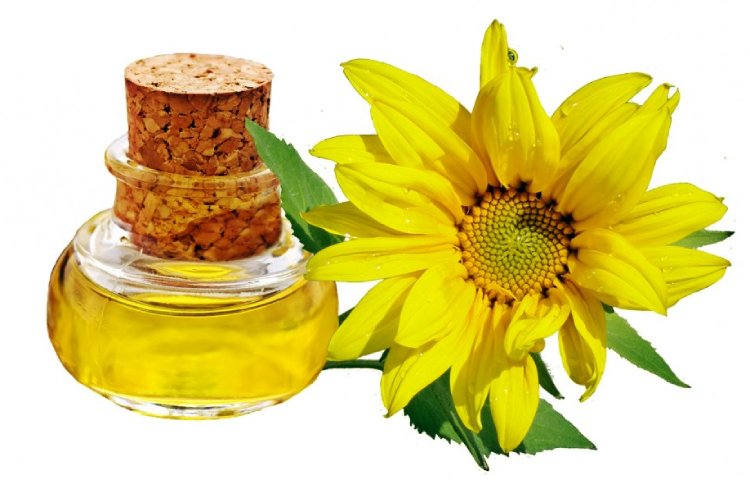 Diferencias entre aceite de girasol y aceite vegetal – Sooluciona