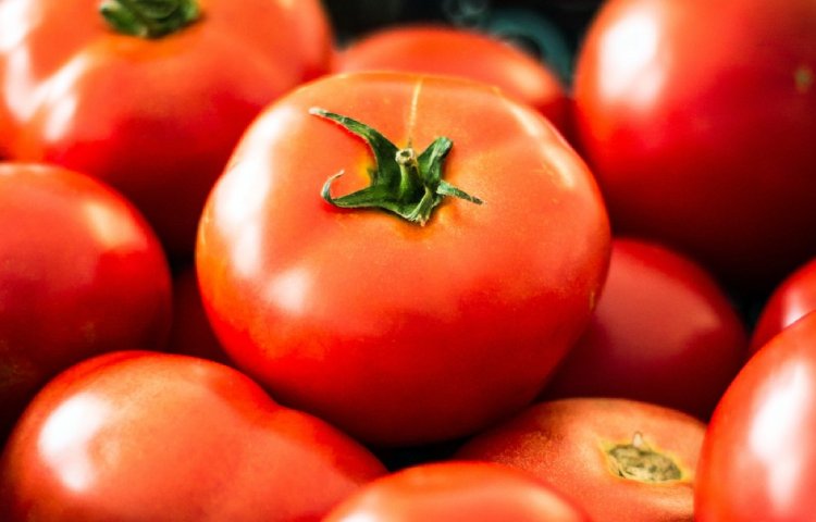 Diferencias entre pasta de tomate y puré de tomate