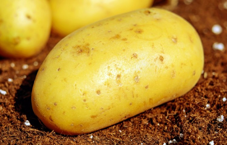 Diferencias entre patatas rojas y patatas blancas