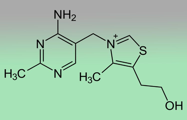 Aplicaciones y usos de la tiamina