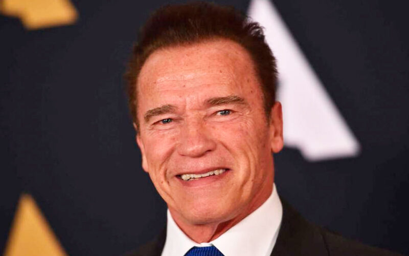 Arnold Schwarzenegger fue gobernador en el año 2003