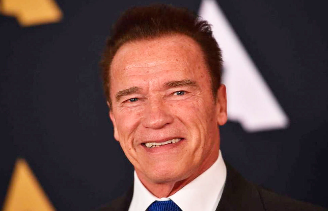 Arnold Schwarzenegger fue gobernador en el año 2003
