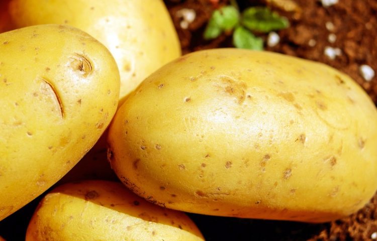 Datos interesantes de las patatas