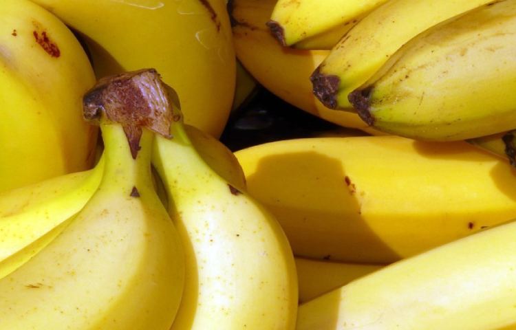 Datos interesantes de los plátanos