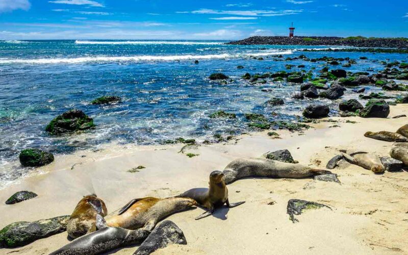 Puerto Baquerizo Moreno es la capital de la Provincia de Galápagos