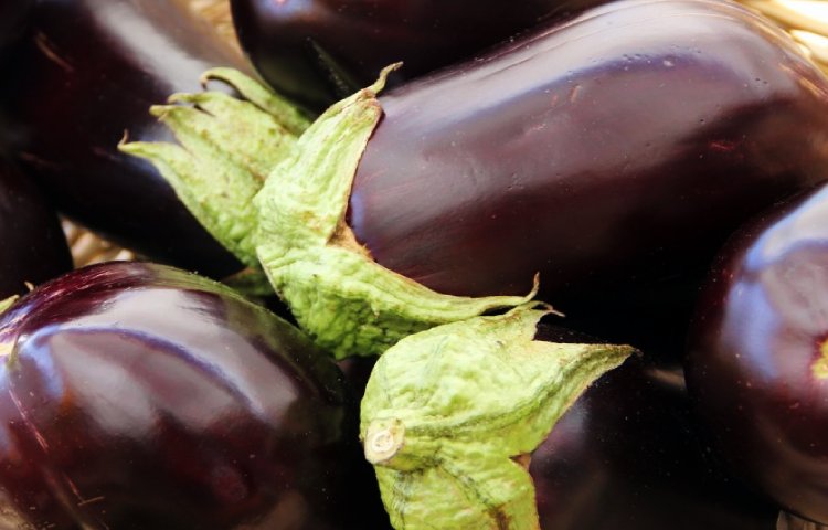 Diferencias entre berenjena blanca y morada