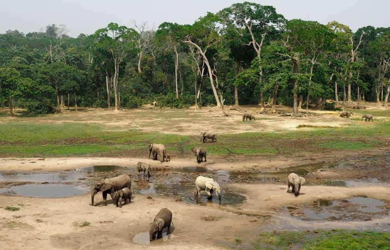 Bangui es la capital de República Centroafricana