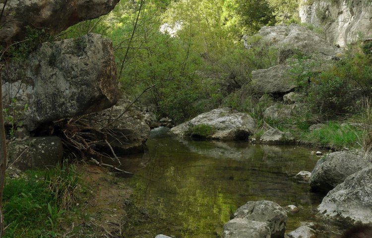 Características del río Brugent