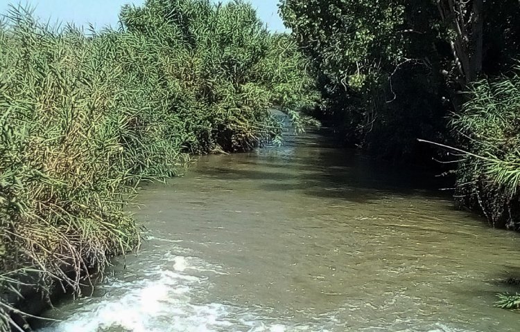 Características del río Corb