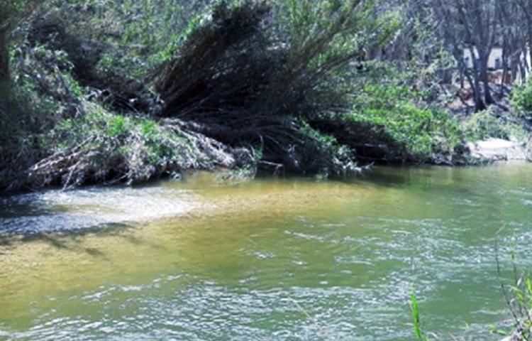 Características del río Cànyoles