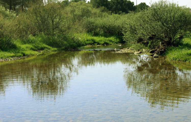 Características del río Daró