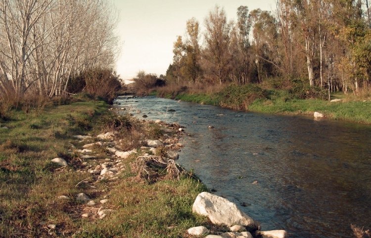 Características del río Francolí