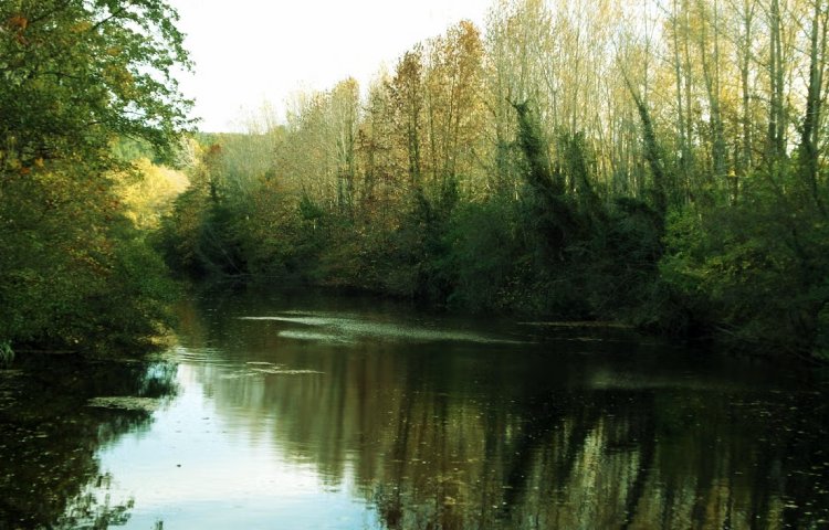 Características del río Muga