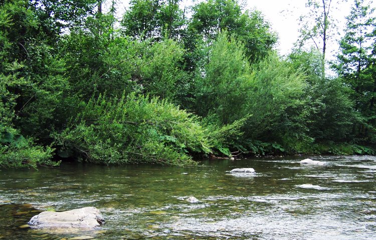 Características del río d’Aravó