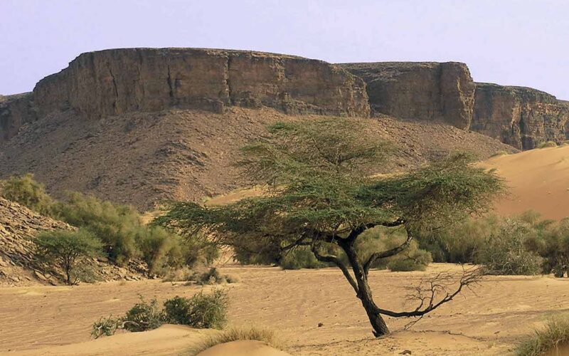 Nuakchot es la capital de Mauritania