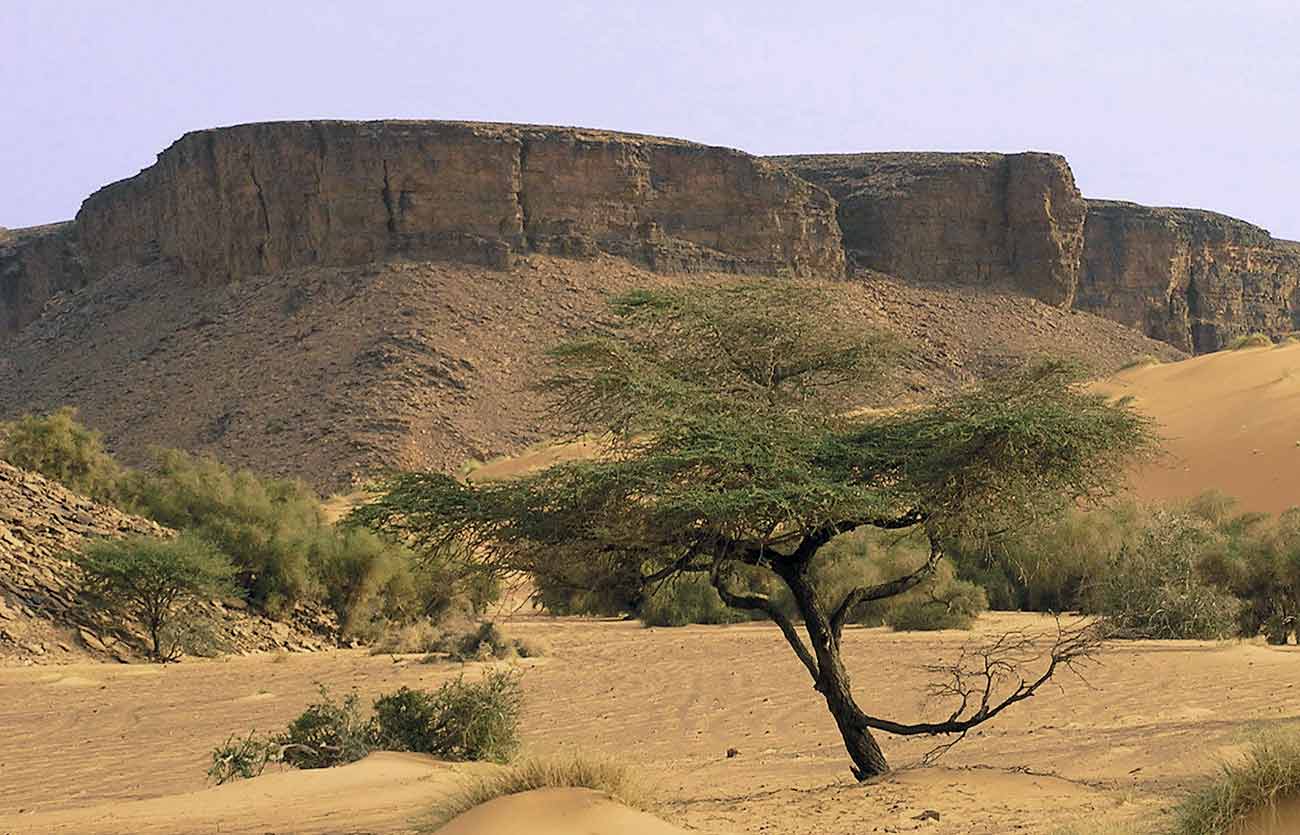 Nuakchot es la capital de Mauritania