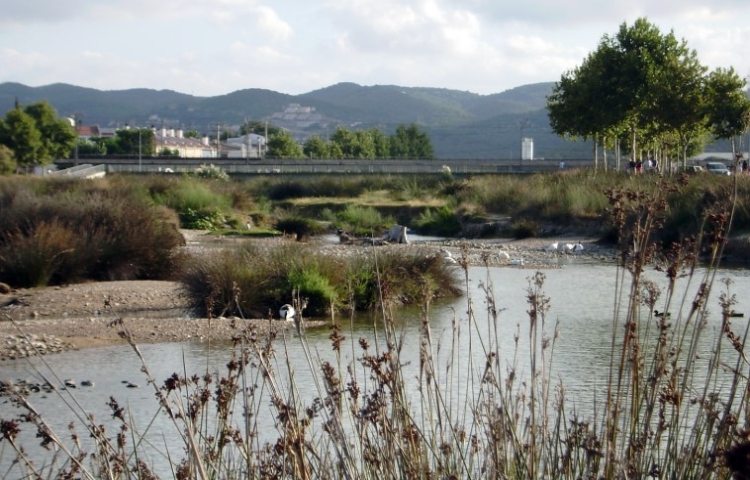 Características del río Foix