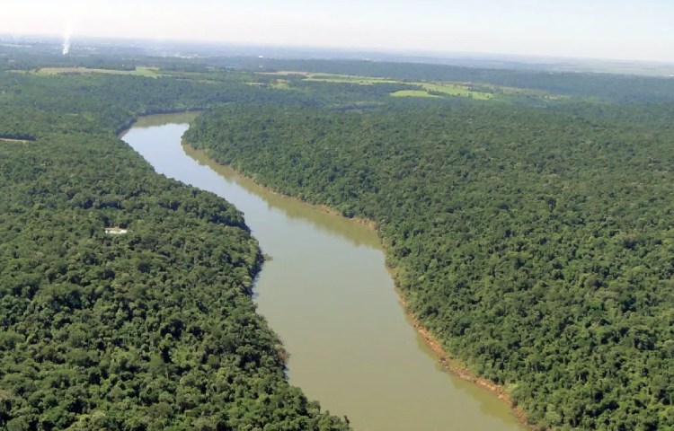 Características del río Paraná