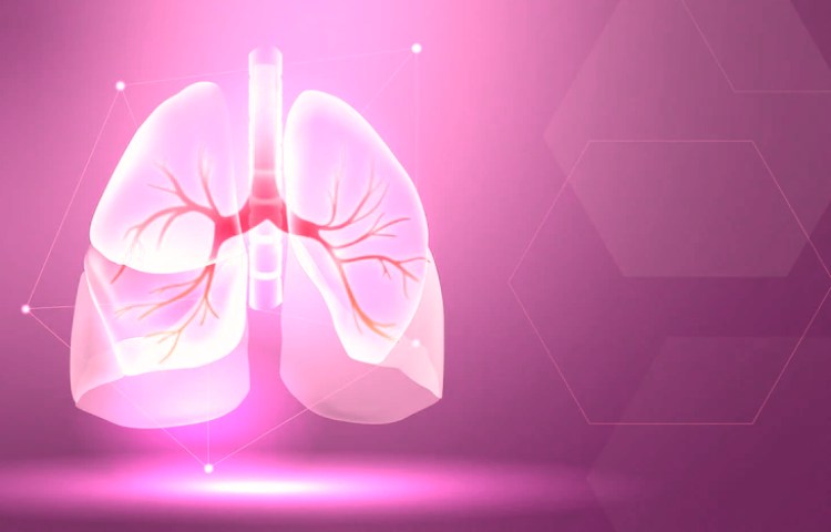 Curiosidades sobre los pulmones