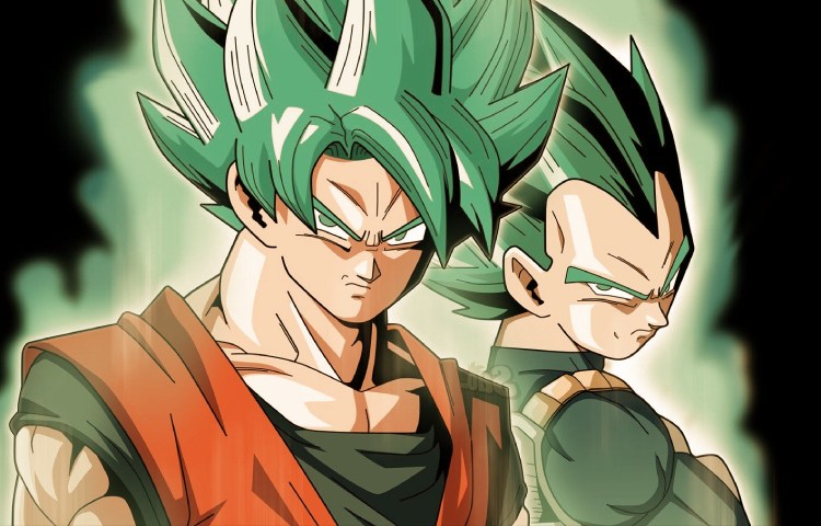 Diferencia de edad entre Goku y Vegeta