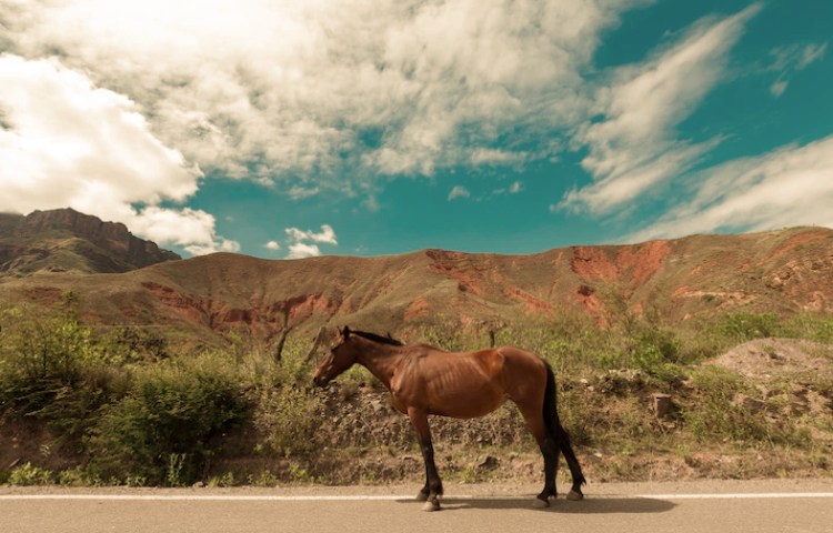 Diferencias entre Argentina y Colombia