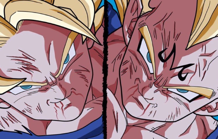 Diferencias entre Goku y Vegeta en Dragon Ball Z