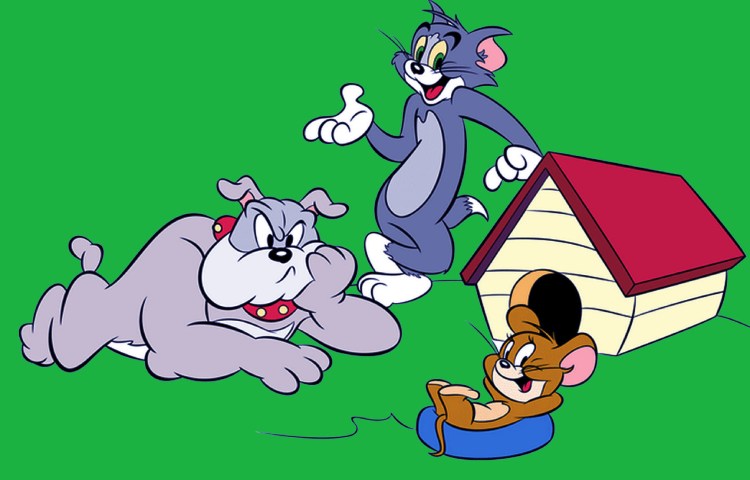 Cuál es el nombre del perro de Tom y Jerry