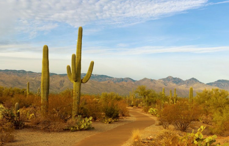 Cuál es el origen del Estado de Arizona