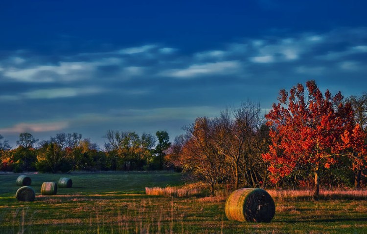 Cuál es el origen del Estado de Kansas