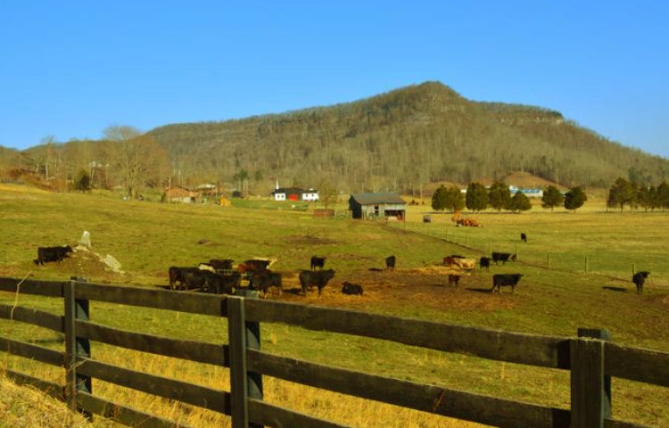 Cuál es el origen del Estado de Kentucky