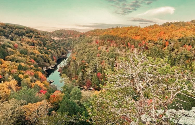 Cuál es el origen del Estado de Tennessee