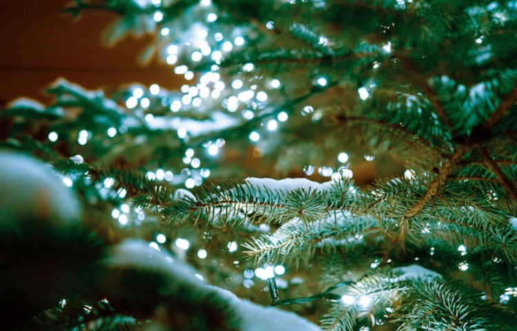 Cuándo se empezó a poner el árbol de Navidad en España
