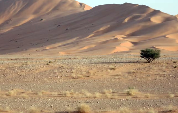 Cómo es la vida en el desierto