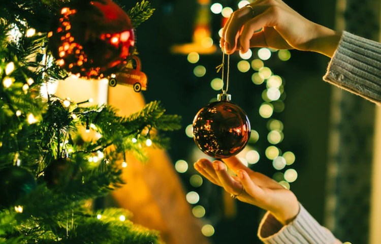 Diferencias entre Navidad y Natividad